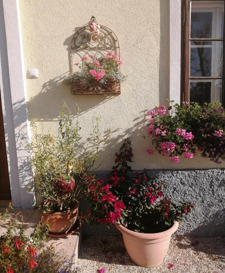 Marta'S House Guest House Bled Exterior photo